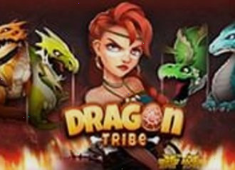 Dragon tribe норд